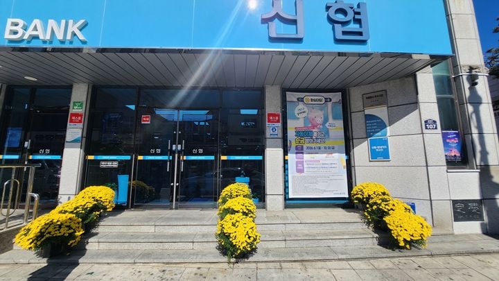 강진군농업기술센터가 강진만 갈대축제를 앞두고 강진읍 중앙로·영랑로 일대에 국화화분 1000개를 2차례에 걸쳐 순차 전시한다.