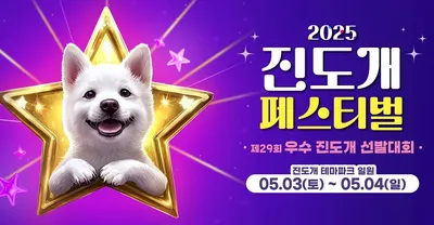 진돗개 페스티벌. 우수 진돗개 선발대회 개최