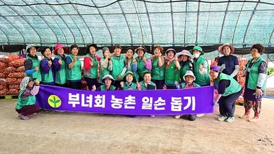 신안새마을부녀회, 농가 일손 돕기 행사 펼쳐
