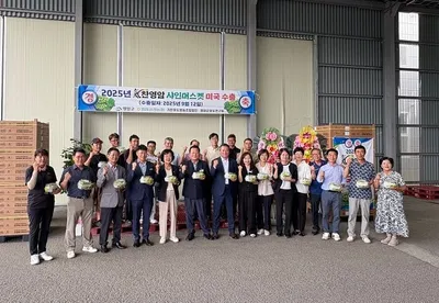 영암 샤인머스켓, 미국 수출 첫 선적…호남 최초 검역단지 지정 성과