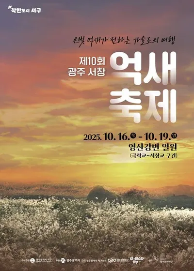 은빛 억새와 함께하는 가을, 광주 서구 ‘억새축제’ 한 달 앞으로