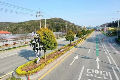 완도군, 해변공원에 '완도호랑가시나무 경관 숲' 조성