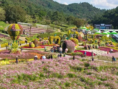 '2025 화순 고인돌 가을꽃 축제' 성황리에 마무리