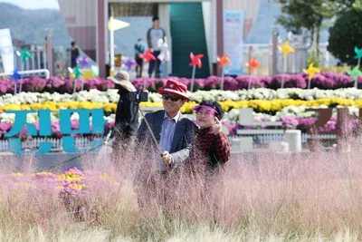 제10회 강진만 춤추는 갈대축제 현장