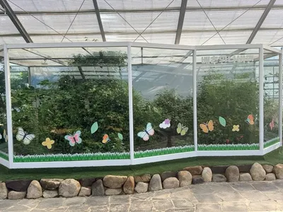 함평 국향대전 명품분재전시관·신품종 국화 첫 공개