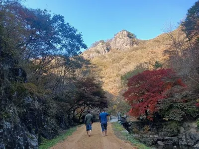 “가을 감성 흙길 산책” 담양 가마골생태공원 재단장