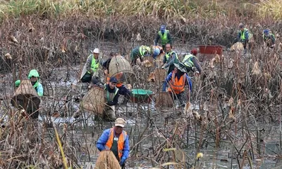 강진 병영면, 중고저수지서 ‘가래치기’ 전통어업 체험