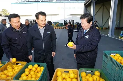 “고흥 유자 가격 뛰었다… 수매가 20~40% 상승, 가공수요 확대 영향”