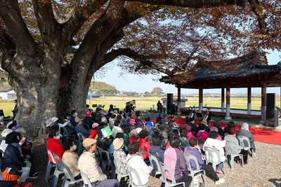 영암 엄길마을 800년 고목 아래서 열린 특별 음악회