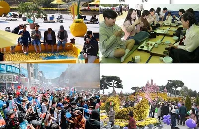 2026 전남 대표축제 10선…세계시장 노린 차별화 전략 주목