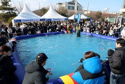 무안 숭어 매력 전국에 알렸다…겨울숭어축제 큰 호응