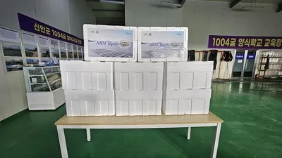 신안 ‘1004굴’, 홍콩 수출 안착…글로벌 프리미엄 시장 노린다