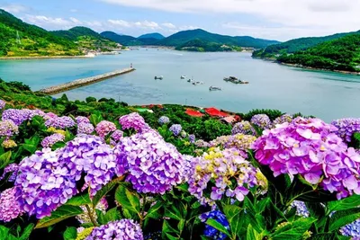 고흥군 ‘쑥섬’ 전국 명품 관광지로 도약, 로컬100 최종 합류