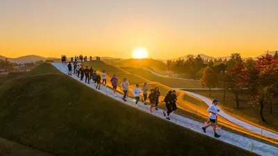 순천만국가정원에서 펼쳐지는 설 연휴 이색 행사 '윷놀이 런' 주목