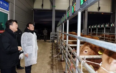 “강진 한우, 왜 요즘 값이 오를까?” 알고 보니 숨은 전략 있었다