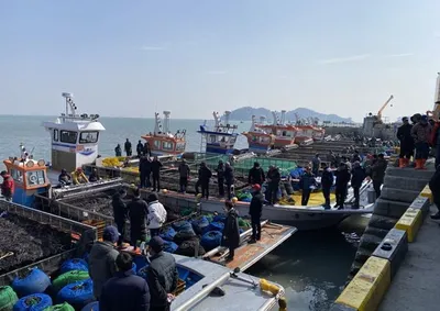 '진도 김' 국제 친환경 인증 획득…지속가능한 수산업 도약