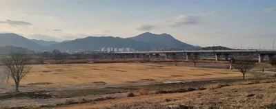 나주시, 영산강변 나주대교 인근 불법 파크골프장 행정대집행