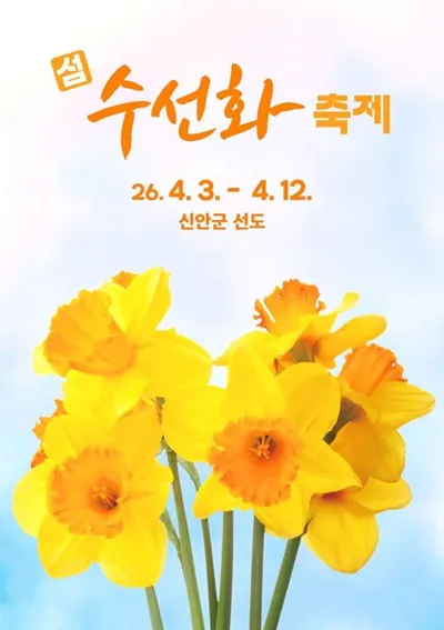 1,004만 송이 수선화, 신안 선도에서 만나는 봄의 절경