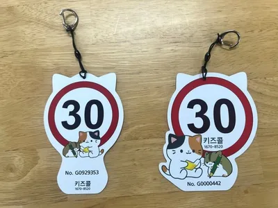 광주 초등안심알리미 서비스 확대, 등하교 실시간 문자로 안전 강화