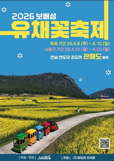 진도 관매도에 황금물결… ‘2026 보배섬 유채꽃 축제’ 9일 개막