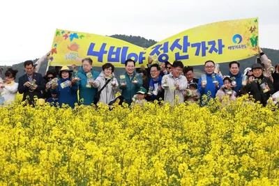 완도 청산도 슬로걷기 축제, 걷기·체험·공연으로 치유의 시간 선사