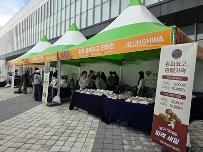 장흥 흥화표고, 롯데아울렛서 도시 소비자 공략 성공