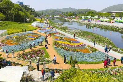 화순 봄꽃 축제, 꽃강길·남산공원 봄기운 가득 “야경도 매력”