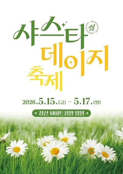 신안군 장산도 샤스타데이지 향연…자연 속 흰빛 절정