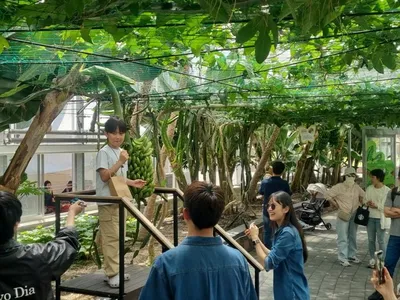 함평나비대축제 아열대농업관 이국적 전시·체험에 가족 관람객 ‘북적’