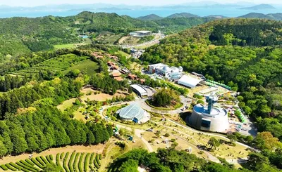 '제49회 보성다향대축제' 말차·음악·체험 어우러진 오감만족 축제 펼쳐진다