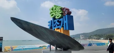 수문항 가득 채운 신선한 향연 '장흥 키조개축제' 5월 개막