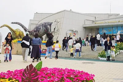 해남공룡대축제 14만 명 돌파…전국 대표 가족축제 자리매김