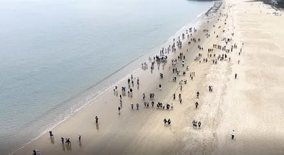 완도 명사십리서 맨발 힐링… “몸과 마음 치유”