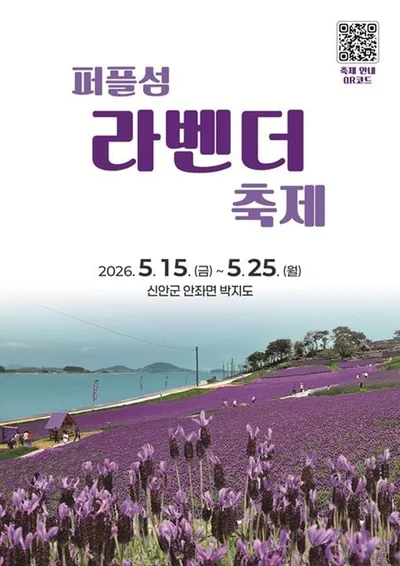 신안 퍼플섬 프렌치 라벤더 축제 15일 개막…보랏빛 명소로 변신