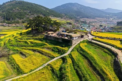 완도 청산도 슬로걷기 축제 5만 명 발길로 ‘힐링 명소’ 입증