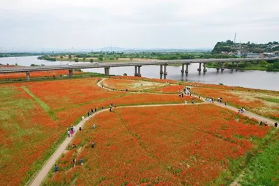 나주 영산포 홍어·한우축제 22일 개막..남도 미식 기행 시작