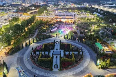 가족·연인·청년 모두 반한 곡성세계장미축제의 밤 풍경과 감성