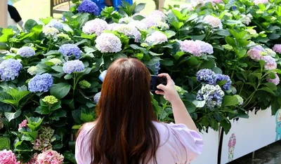 청년 최대 70% 지원… ‘강진 반값여행’으로 여름휴가 부담 ‘뚝’
