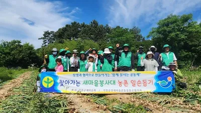 장흥군 직장·공장새마을협의회 마늘 수확 현장서 땀방울