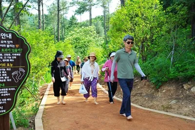 보성 제암산자연휴양림 숲속 맨발길 '힐링 걷기 명소' 추천
