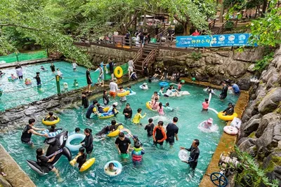 보성군 제암산자연휴양림서 즐기는 한여름 피서