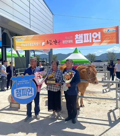 영암한우가 최고였다… 으뜸한우 경진대회 종합챔피언