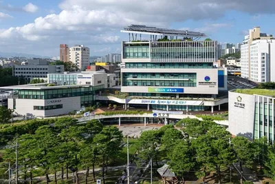 서구 추석 맞이 '주민생활 안정 종합대책' 가동… 31개 과제 추진