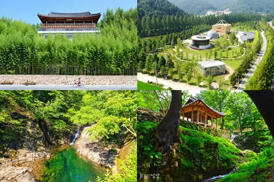 “추석날 공짜래요”… 담양 대표 관광지 문 활짝