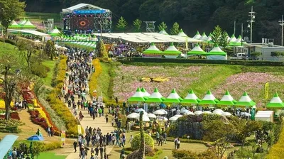 화순 고인돌 가을꽃 축제 개막 임박… 김다현·존박·알리 출연