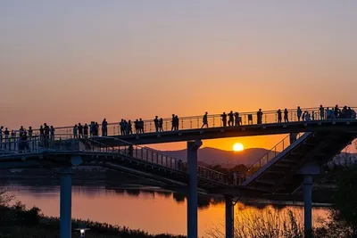 제11회 광주서창억새축제 15일 개막… 휴식왕·노을530·왈왈런 눈길