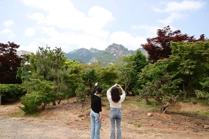 ⓒ영암군