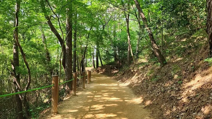 ▲월출산국립공원 기찬묏길ⓒ영암군