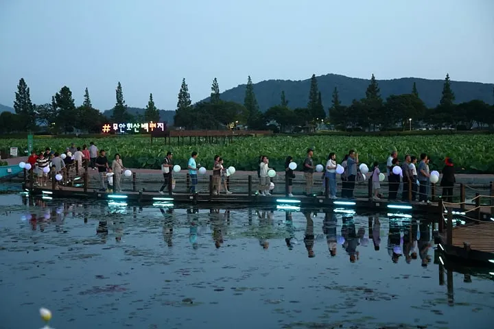 여름밤 연빛달빛야행(夜行)